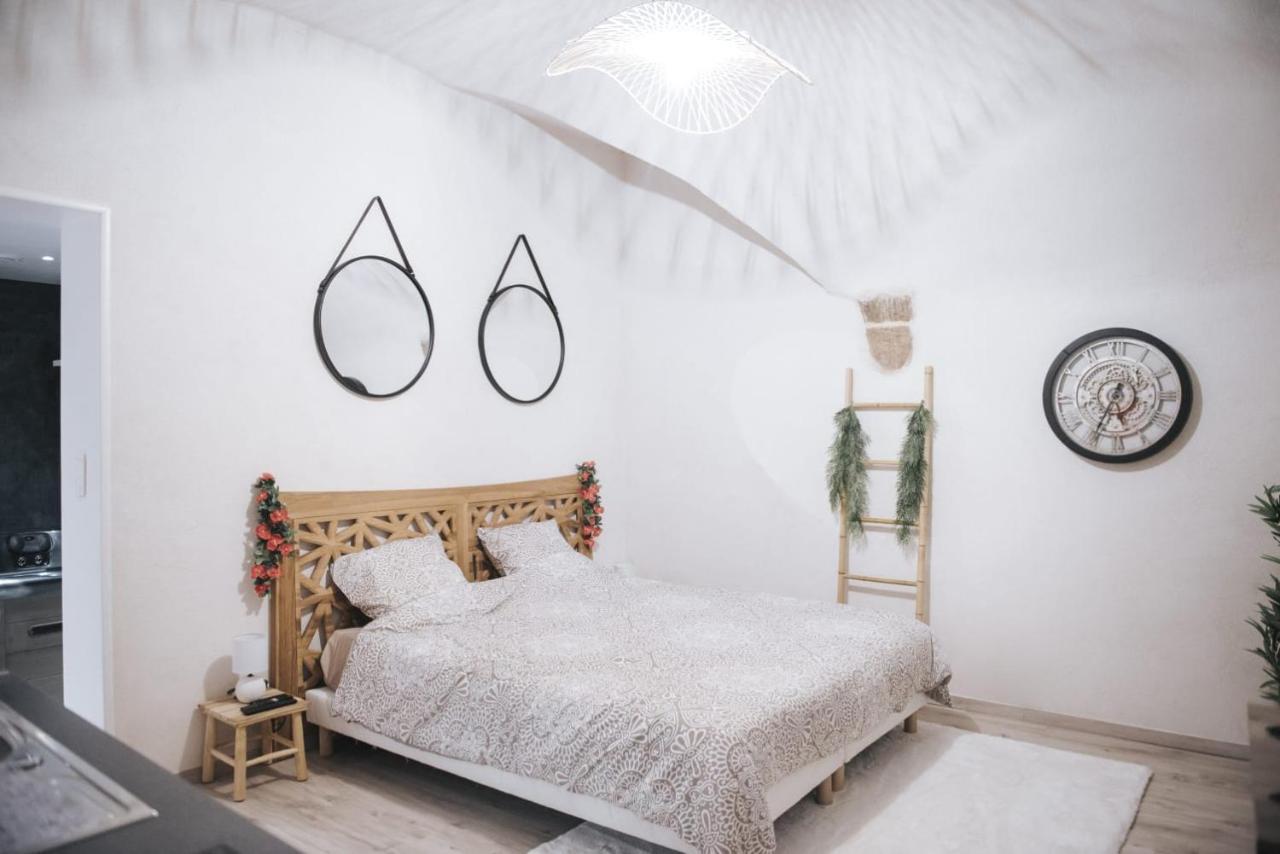Appartement 2 Pieces Jacuzzi ブリウド エクステリア 写真